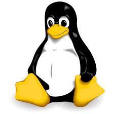 linux operating system and shell scripting